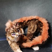 リアルな猫のラグドール 作家人形 OOAK ぬいぐるみ - ショップ