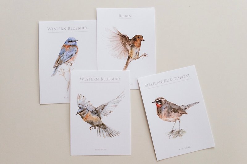 Birds postcard group A - Cards & Postcards - Paper 