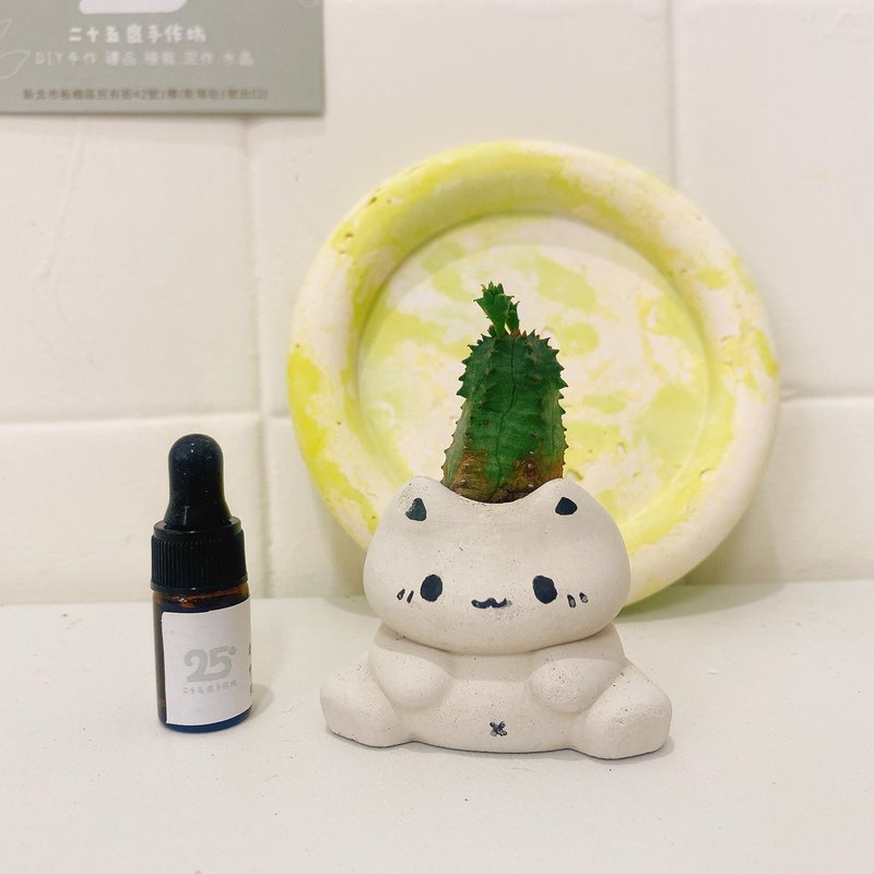 【擴香小盆景】多肉 x 坐坐貓水泥擴香盆栽 聖誕禮物 企業禮品 - 盆栽/植栽 - 水泥 