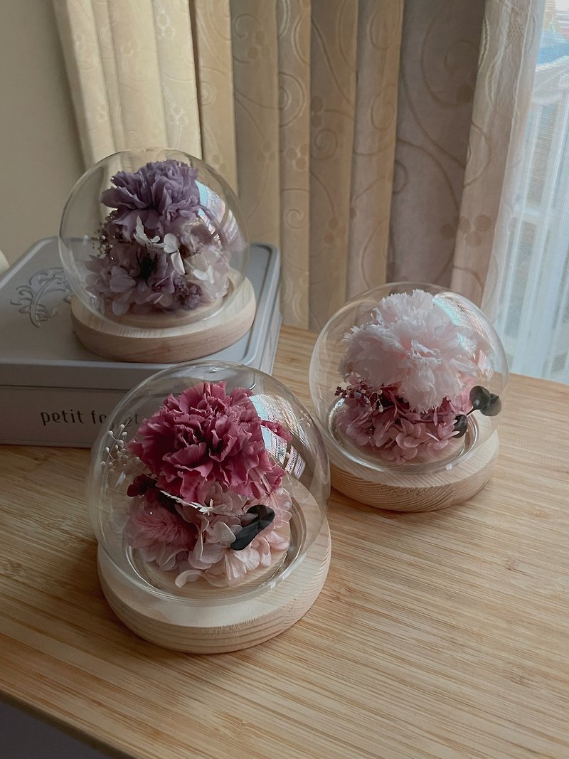 [Mother's Day Gift] Eternal Carnation Glass Ball LED Night Light 3 Colors Optional Comes with Gift Box - Dried Flowers & Bouquets - Plants & Flowers 