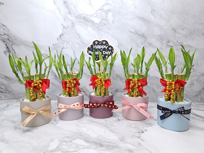 Solid color sketch colorful series lucky bamboo opening housewarming promotion gift souvenir hydroponics - Plants - Porcelain Multicolor