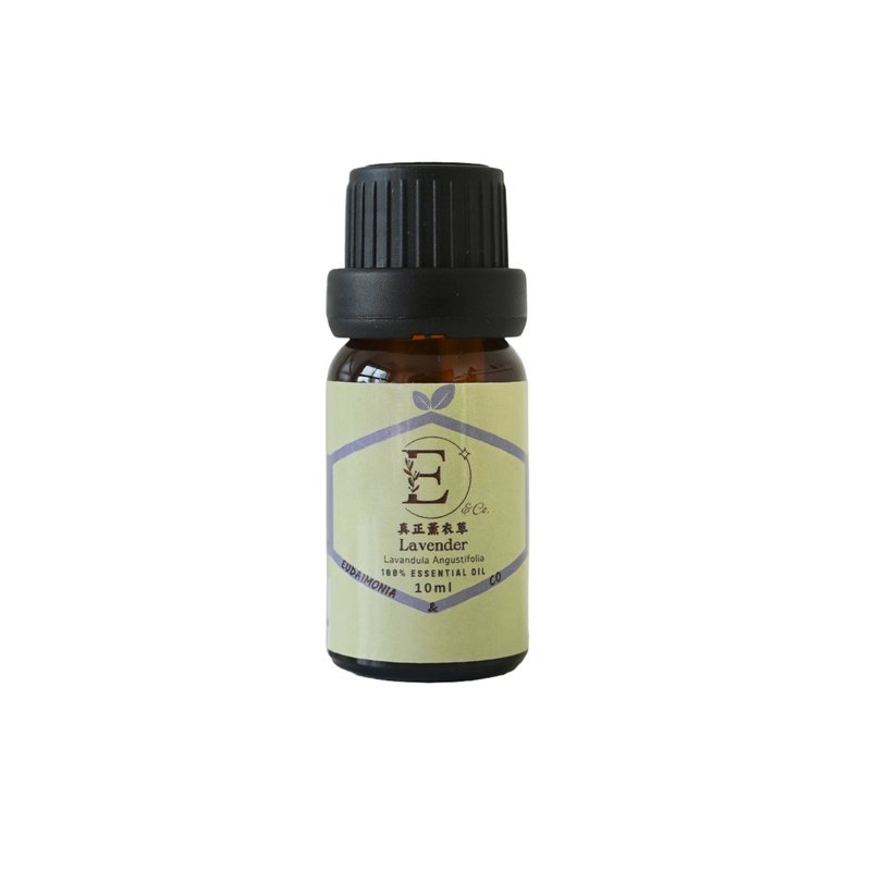 Lavender Essential Oil - Fragrances - Essential Oils Purple