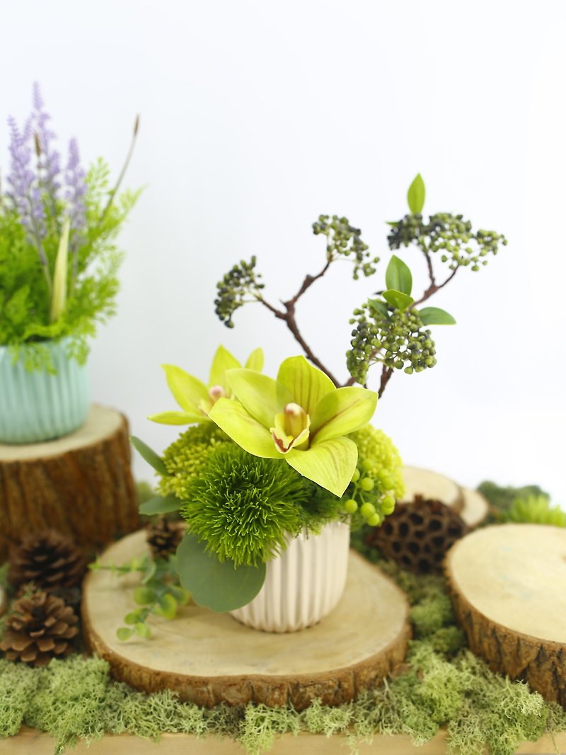 Green Orchid Fragrance Floral Art/Realistic Flowers/Gifts/Table Flowers/Never Fading - Plants - Other Materials 