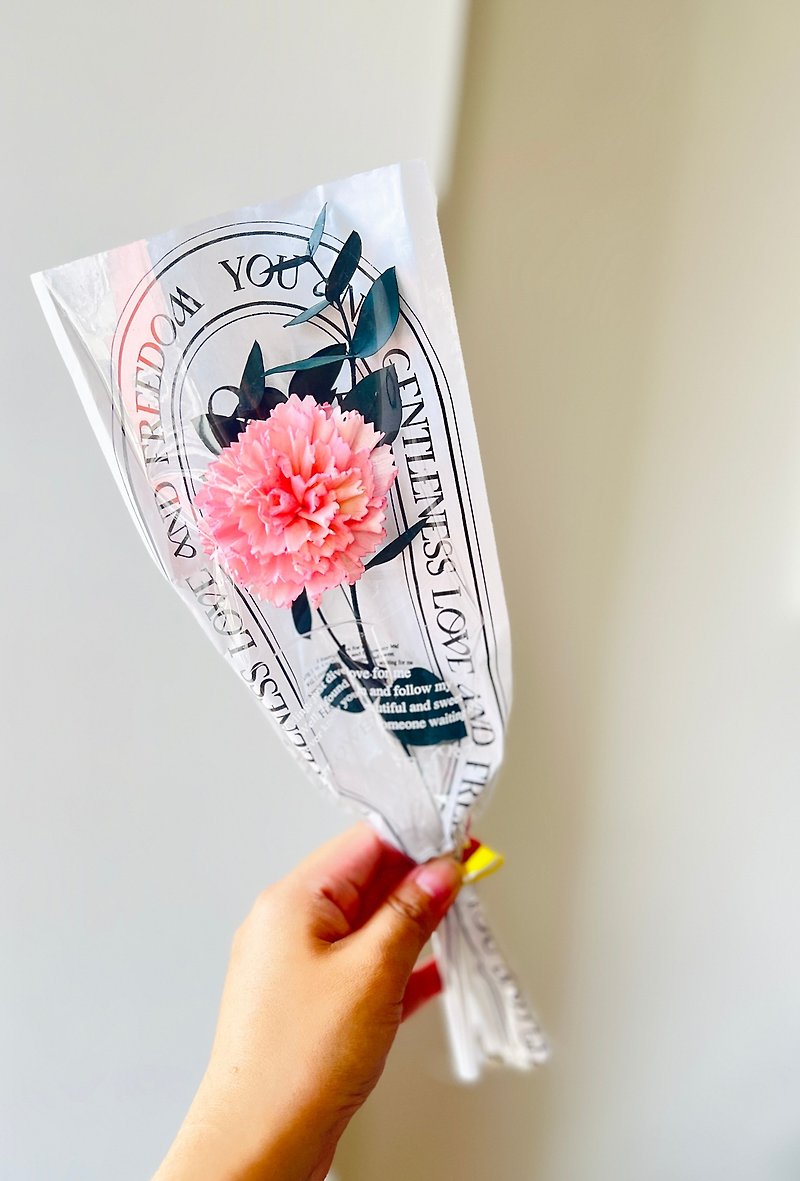 This is the right gift for Mother's Day. Carnation diffuser bouquet. Single carnation preserved flower dried. - Dried Flowers & Bouquets - Plants & Flowers 
