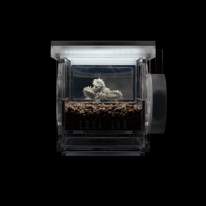 EQUALAB 植物用燈光觀察模組 LIGHT FOR PLANT - 其他 - 其他材質 透明