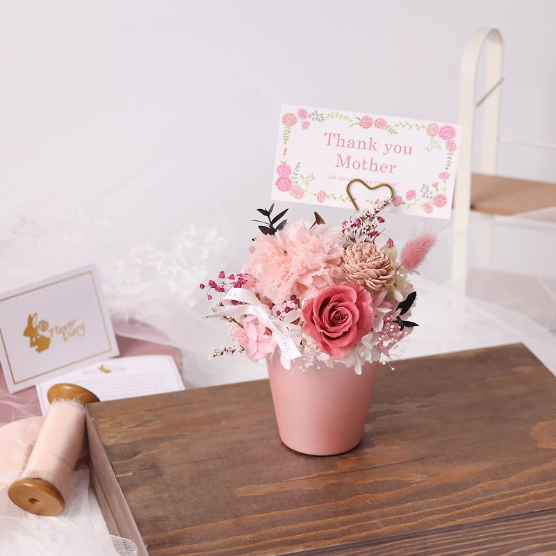 Mother's Day Preserved Flower Small Potted Plant Mother's Day Gift Box with Japanese Card and Beautiful Transparent Gift Box - ช่อดอกไม้แห้ง - พืช/ดอกไม้ สีแดง