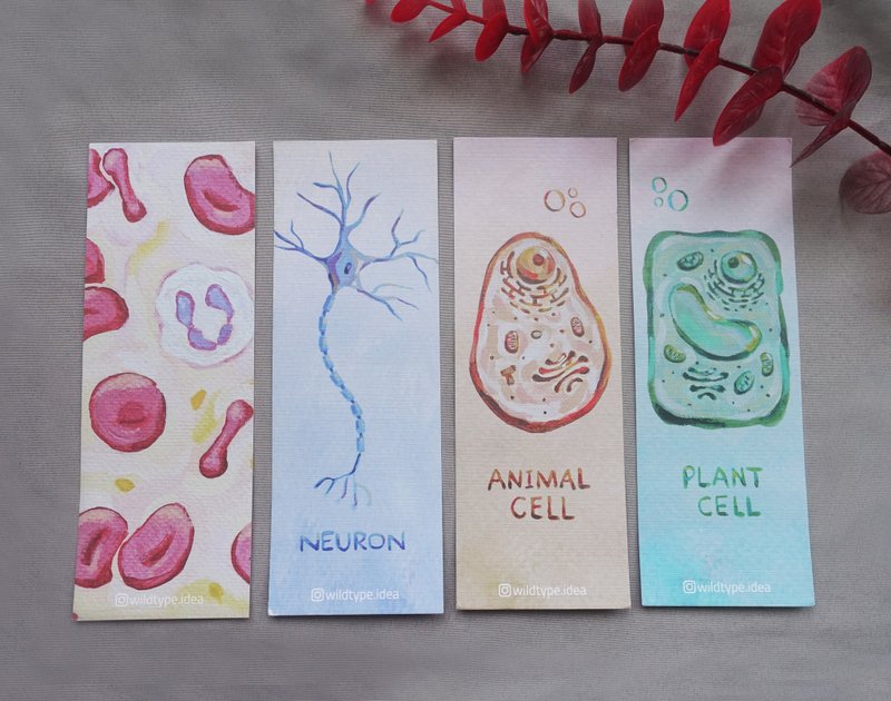 Biology Bookmark Set | 4 in - ที่คั่นหนังสือ - กระดาษ หลากหลายสี