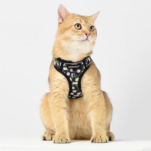 美好寵商 【寵物用品】DOGNESS多尼斯 小貓套裝(多款) - 寵物牽繩+背帶