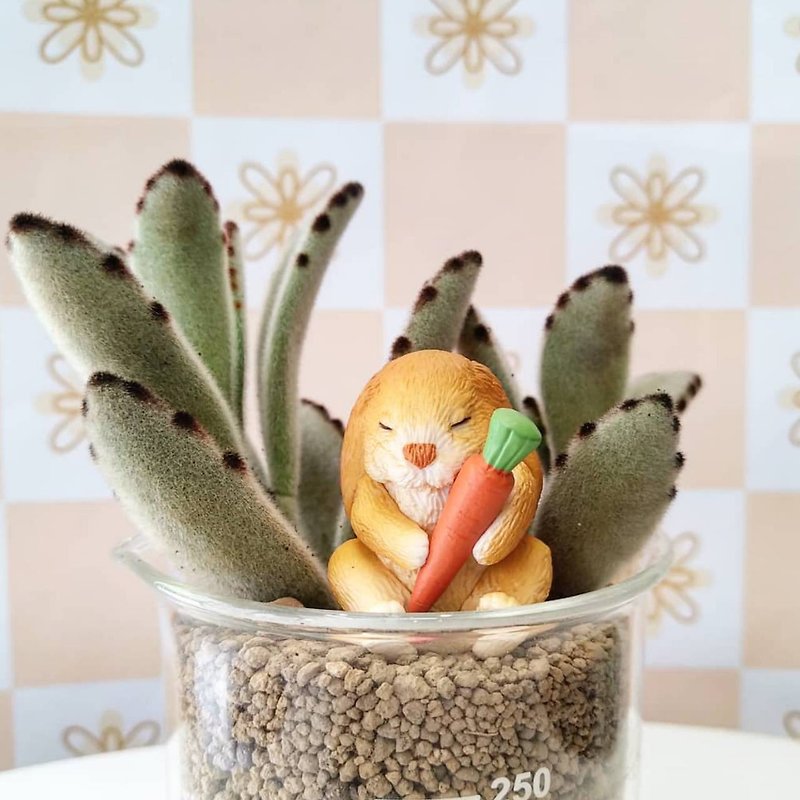 Personality beaker-cute gift - ตกแต่งต้นไม้ - พืช/ดอกไม้ สีกากี