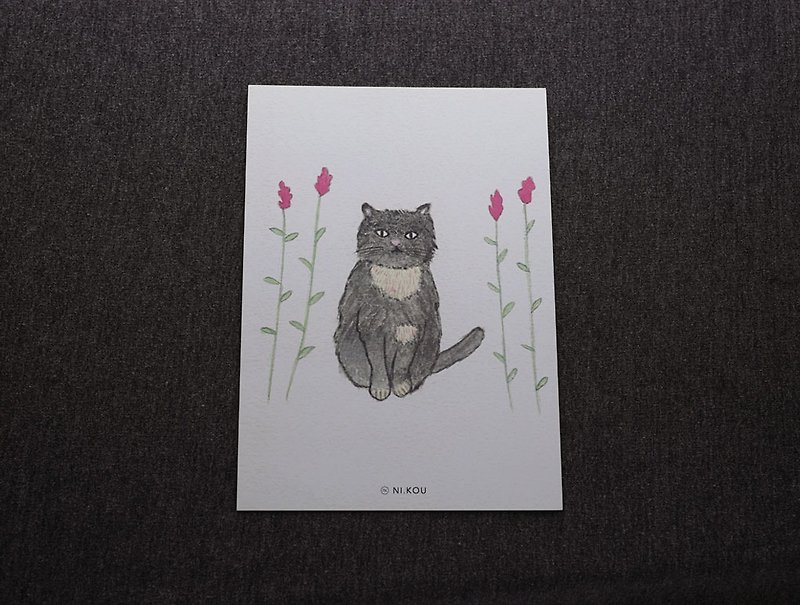 ni.kou cat postcard - Cards & Postcards - Paper 
