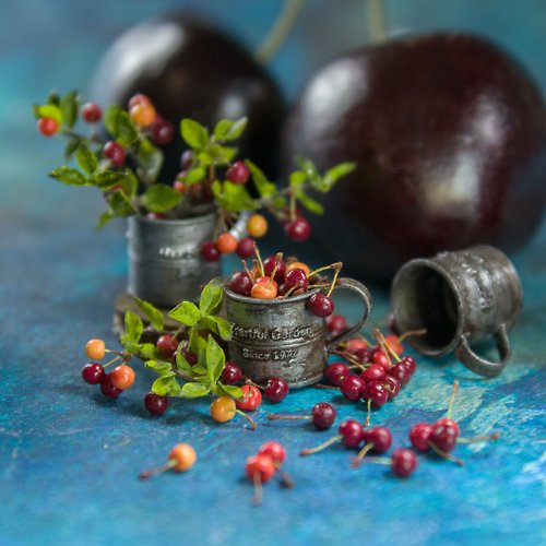 Rina Vellichor Miniatures TUTORIAL Miniature cherries with branch | Digital product | PDF + video
