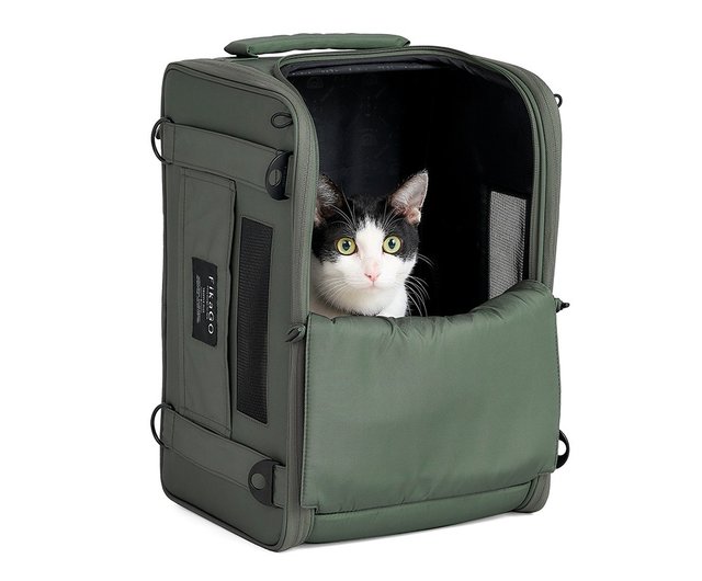 Pet supplies plus cat carrier best sale