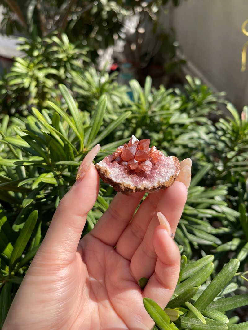 新罕有晶石 阿根廷粉晶洞 一套6顆 (SET C) - 擺飾/家飾品 - 水晶 粉紅色