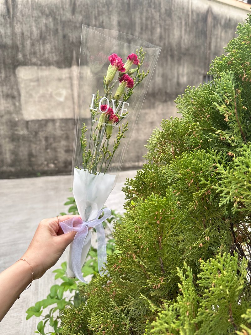 Carnation CP Bouquet Graduation Bouquet Mother's Day Gift Fast Shipping Teacher's Day Mid-Autumn Festival Christmas - ช่อดอกไม้แห้ง - พืช/ดอกไม้ สึชมพู