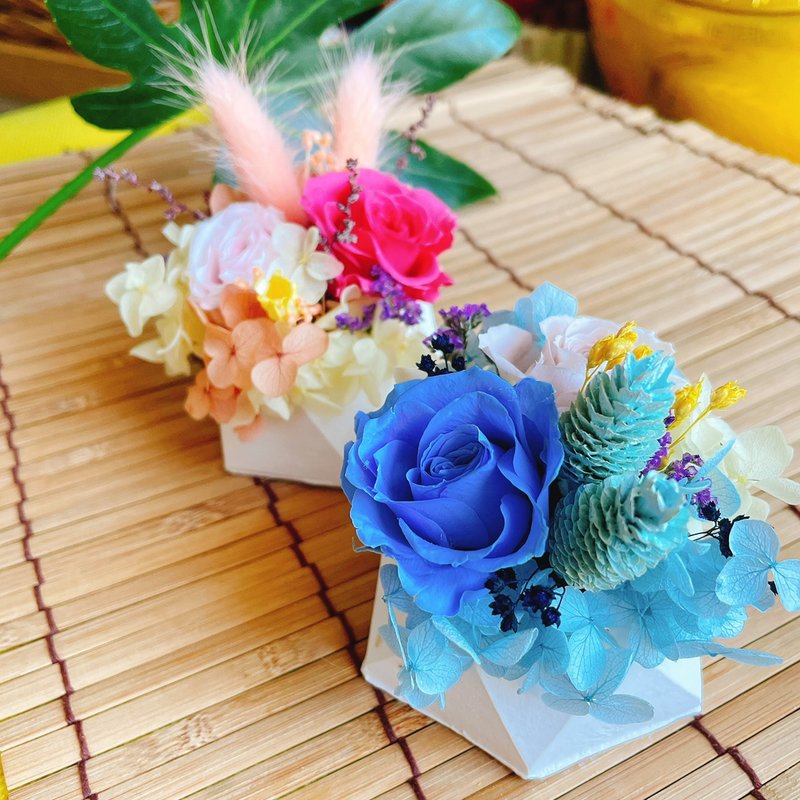 法式香氛小盆花 乾燥花DIY材料包 - 花藝/盆栽/植栽 - 植物．花 多色