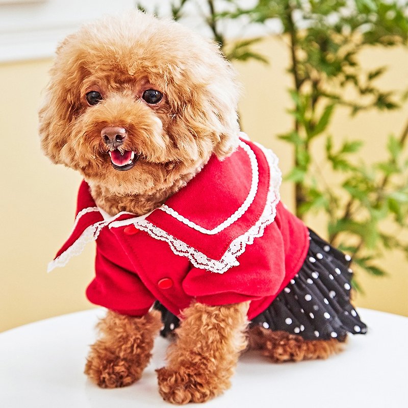 Pet clothes lace collar point skirt (red) - Clothing & Accessories - Cotton & Hemp Red