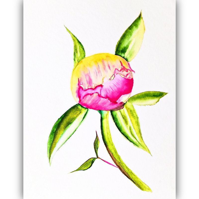 Peony Watercolor Original Flower Artwork Peony Room Decor Wall Art by RayLarArt - Posters - Paper Pink