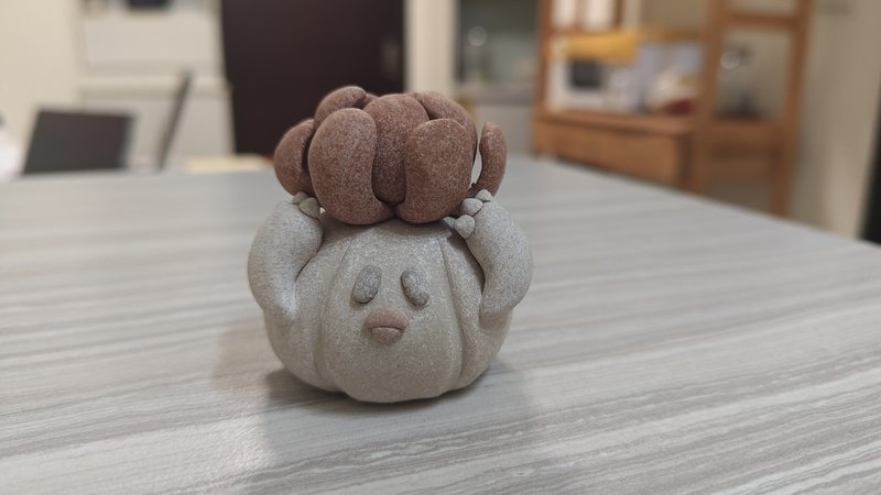 究竟是蒜頭還是多肉 - 擺飾/家飾品 - 陶 