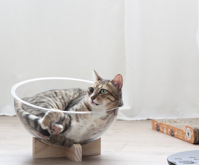宇宙ガラスの猫（ペア）