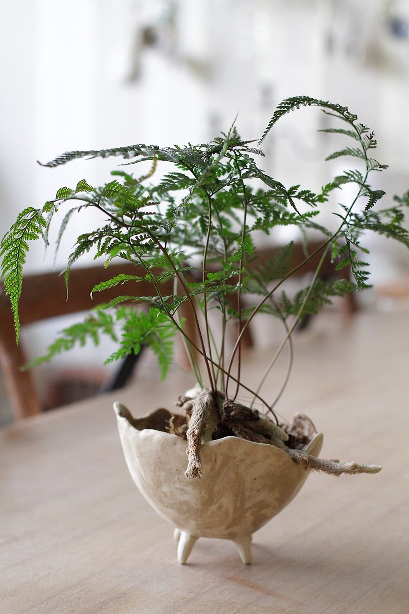 花蓮オリジナル ミネラルソイルセラミック植木鉢（穴あり） - 観葉植物 - 陶器 ゴールド