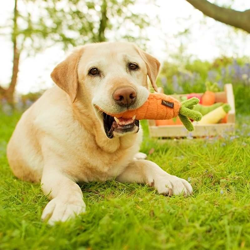 寵物玩具 狗狗 健康蔬果籃 胡蘿蔔 啾啾聲 附療癒食譜 - 貓/狗玩具 - 環保材質 