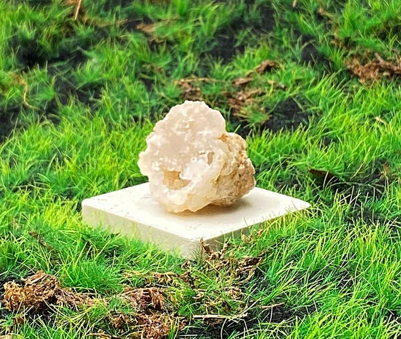 能量擺飾-招財可愛貝殼造型瑪瑙小白晶洞 開運 聚財 快速出貨 - 擺飾/家飾品 - 水晶 多色