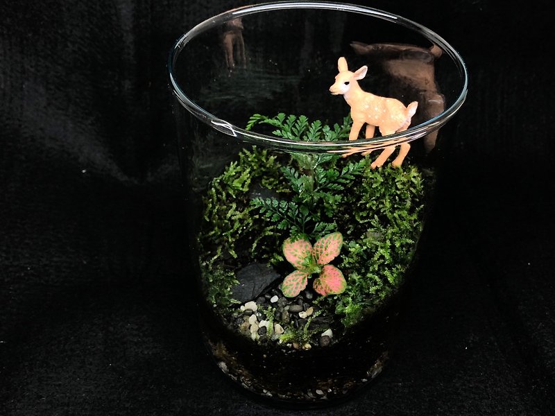 苔蘚生態缸-小鹿款 - 植栽/盆栽 - 植物．花 綠色