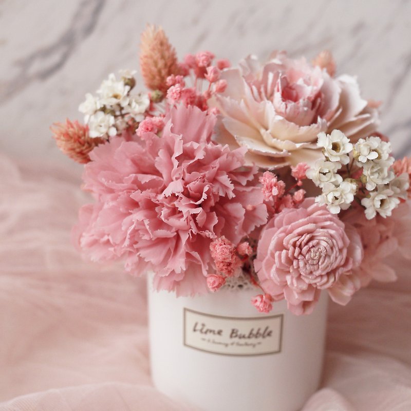 Mother's Day Carnations Everlasting Potted Flowers-Pink - ช่อดอกไม้แห้ง - พืช/ดอกไม้ สึชมพู