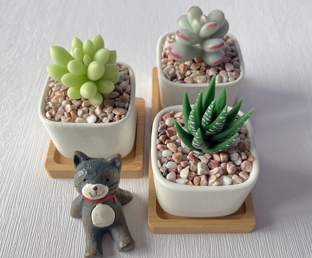 模擬粘土多肉植物】オーダーメイド_単鉢小多肉植物3個入_角型