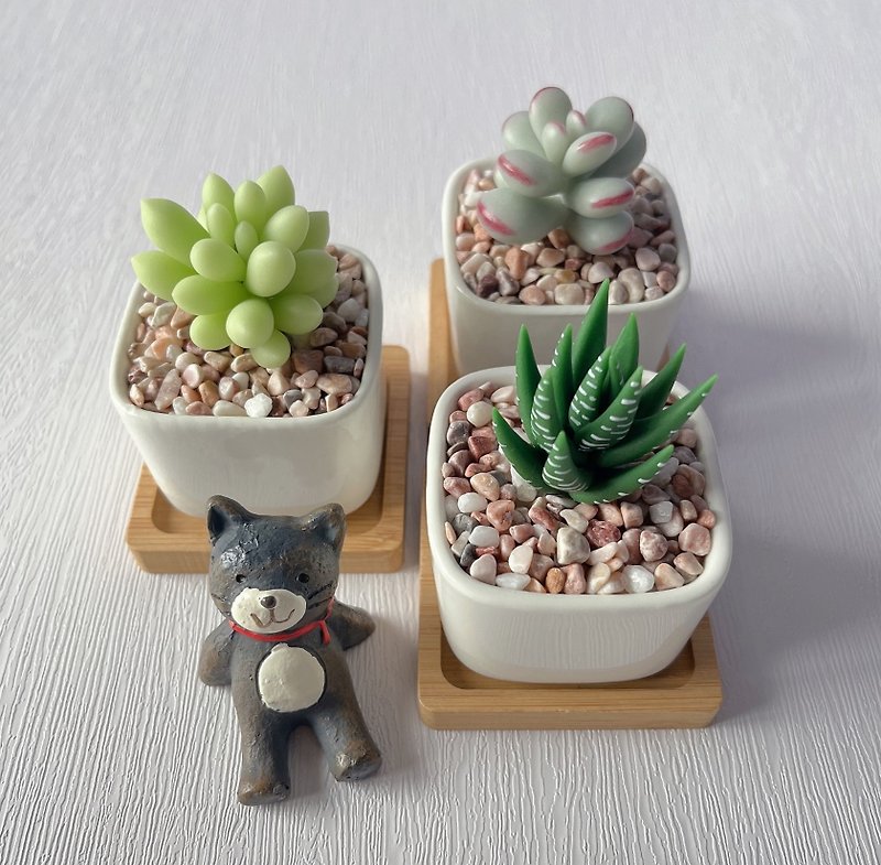 [Simulated clay succulents] Made to order_Single pot small succulents 3 included_Square small white pot style 2 - ตกแต่งต้นไม้ - ดินเหนียว 