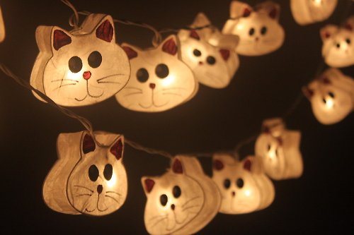 ddlights 20 LED Battery Powered Hand paint Cat Paper Lantern String Lights for Home Decoration Wedding Party Bedroom Patio and Decoration