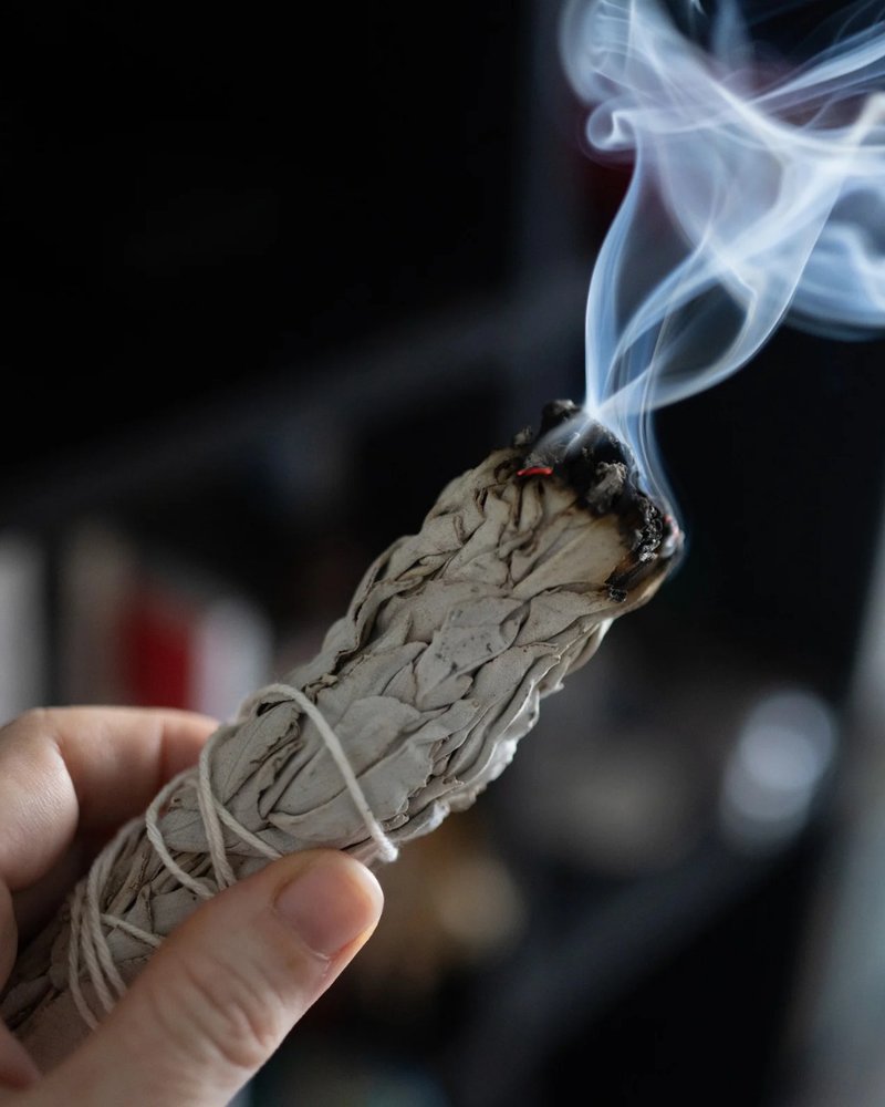 白色鼠尾草 - 香氛/精油/擴香 - 植物．花 銀色