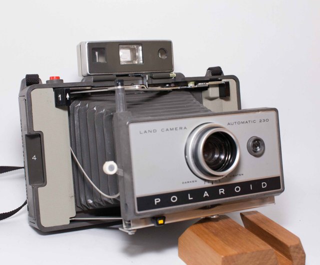 polaroid 230