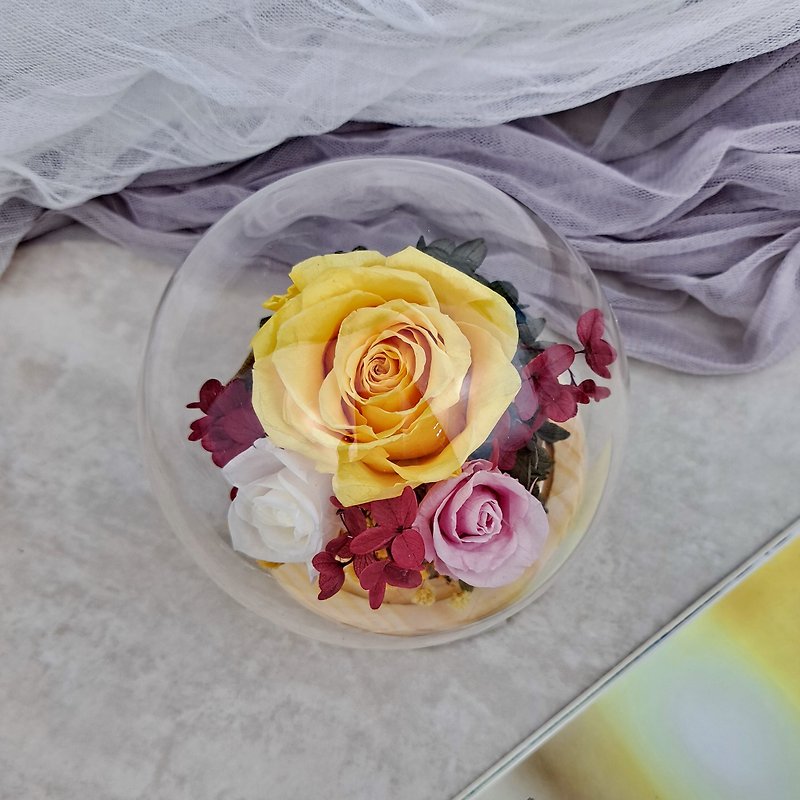永生花玻璃罩  閨密禮物 情人節禮物 母親節禮物 生日禮物 PF-034 - 乾花/永生花 - 植物．花 黃色