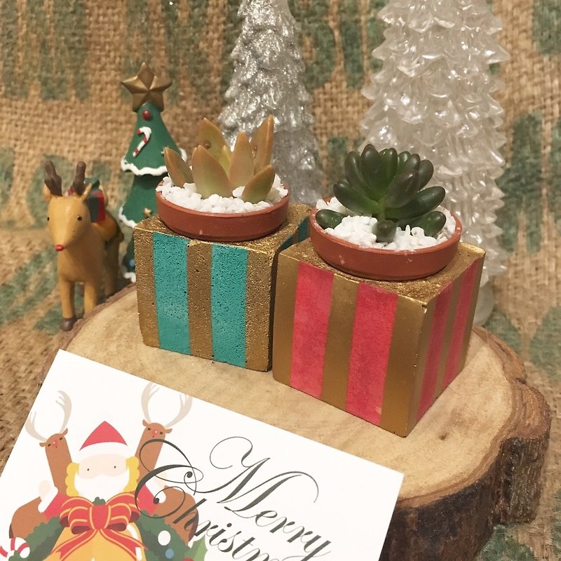 Christmas gifts exchange gift bicolor potted (limited edition) - ตกแต่งต้นไม้ - ปูน สีแดง