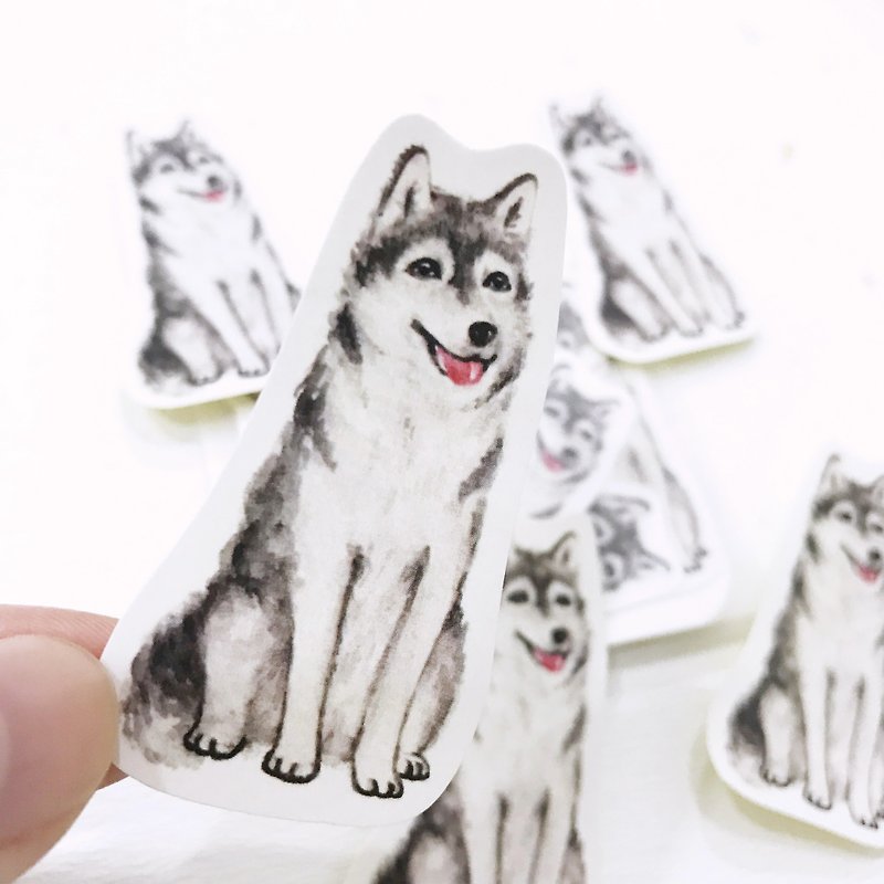 寵物貼紙-哈士奇 Husky5入水彩小貼紙組 - 貼紙 - 紙 灰色