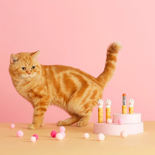 CATISS CATISS 貓掌護唇膏 3g - 橘貓蜂蜜潤色粉橘 |禮品首選