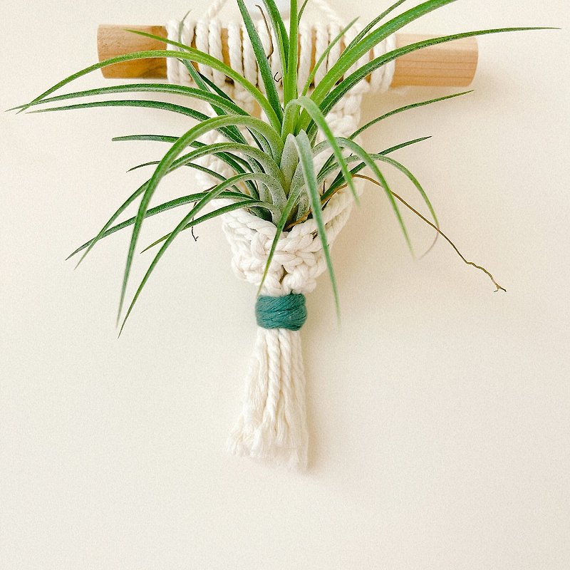 macrame woven mini air pineapple frame - Items for Display - Cotton & Hemp 