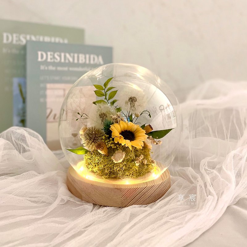 [Preferred gift] Dandelion X Sunflower / Natural Crystal Ball Night Light [Medium] - Lighting - Plants & Flowers 