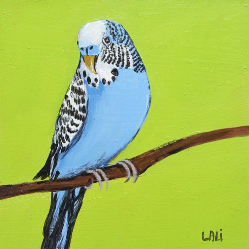 動物セット 4 点 オリジナル油絵 セキセイインコ 雌ライオン カラカル 猫アート 13x13cm - ショップ LelyaCharaArt イラスト/ 絵画/カリグラフィー - Pinkoi