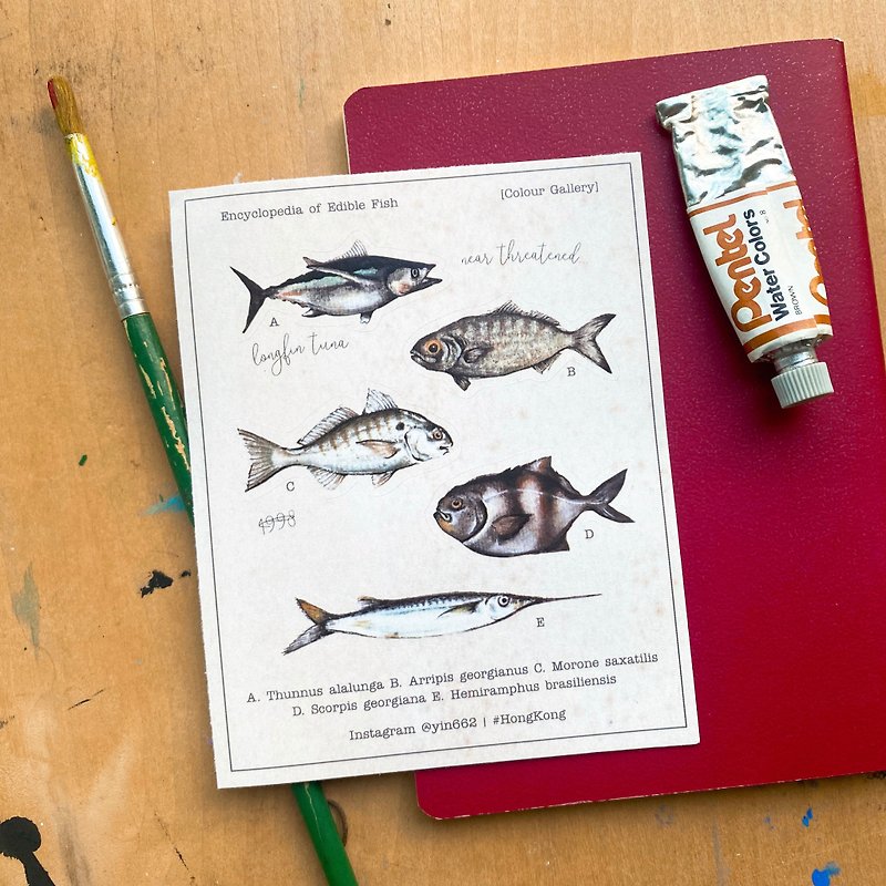 【Wonderful creature】Beautiful eatable fishes - illustrated sticker - สติกเกอร์ - กระดาษ สีกากี