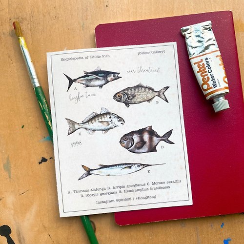 Ryin's Kaleidoscope 【奇妙萬物】美好食用魚類圖鑑 - 插圖貼紙
