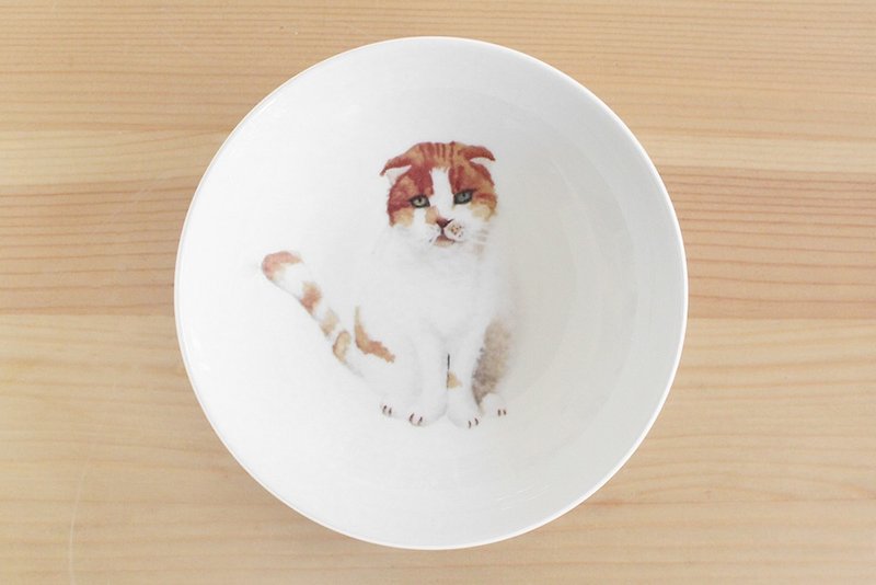 グループに臭い顔猫4ボーンチャイナプレート4 - 小皿 - 磁器 ホワイト