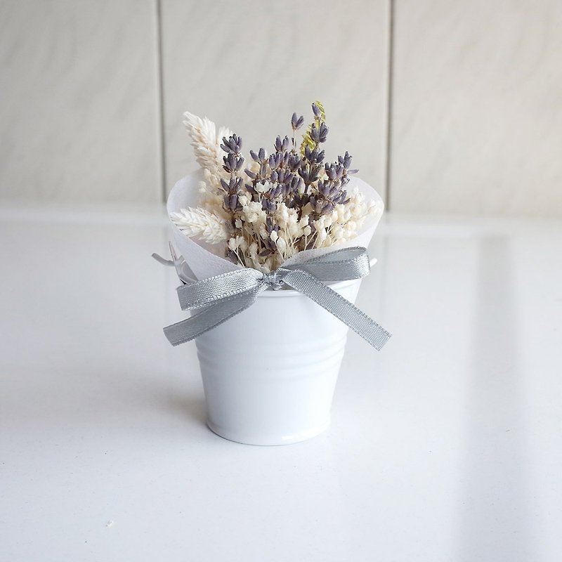 [Q-かわいい]ドライフラワーの小さな鉢植えのシリーズ - クラシックラベンダー - 観葉植物 - 寄せ植え・花 パープル