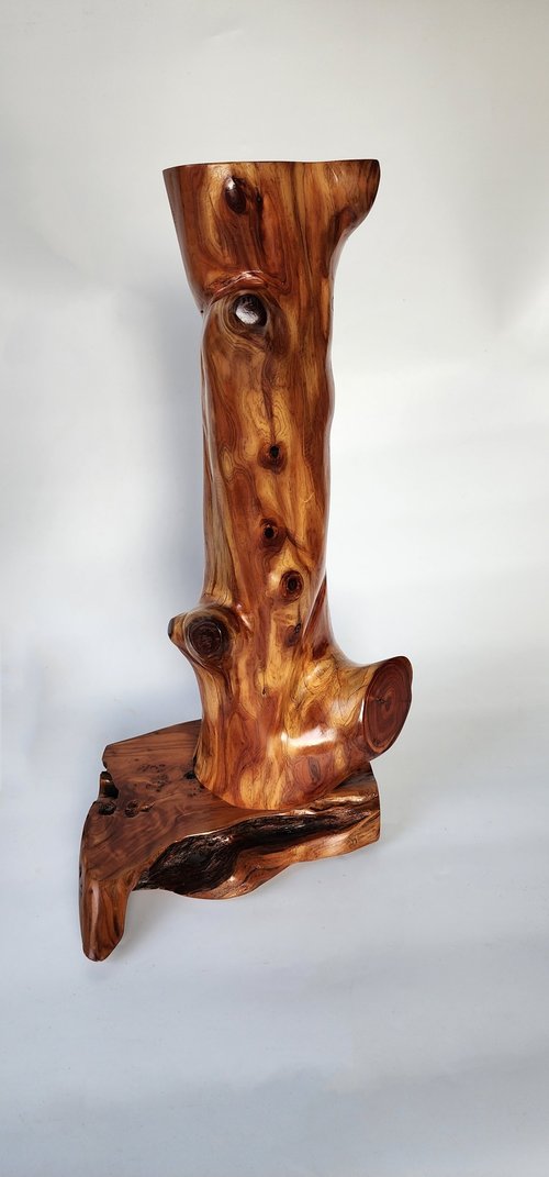 玩木趣原木手工藝品 【Woodfun玩木趣】龍柏原木萬用底座 收藏增值