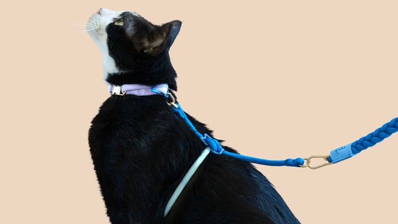 【尺寸顏色自由拼】首創圓繩減敏貓胸背帶 - 項圈/牽繩 - 尼龍 多色