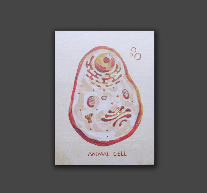 animal cell postcard - การ์ด/โปสการ์ด - กระดาษ สีส้ม