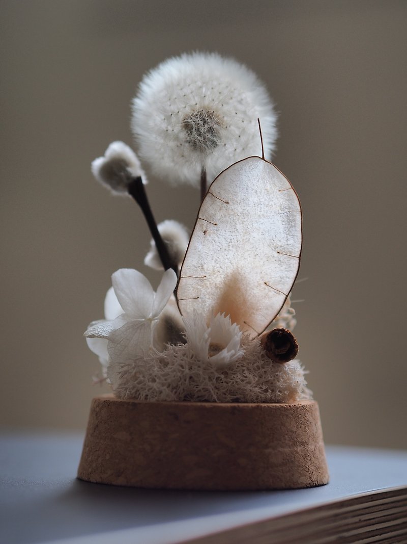 Full moon theme does not wither dandelions - Dried Flowers & Bouquets - Plants & Flowers White
