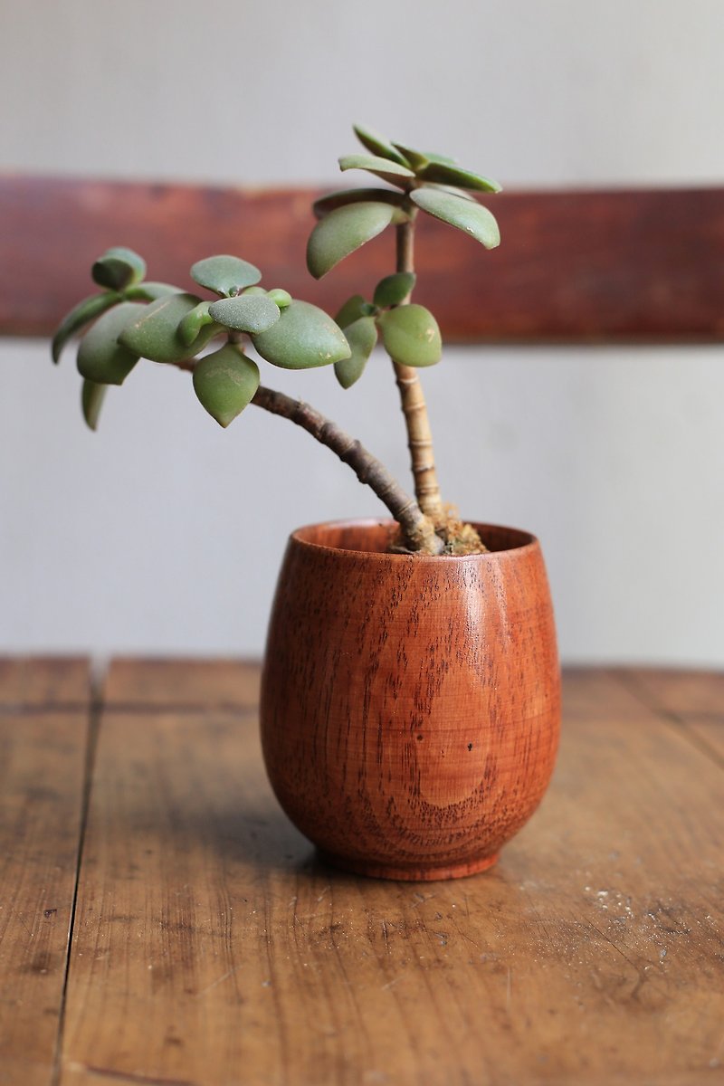 A wooden water cup | a vase for drinks and food - Cups - Wood 