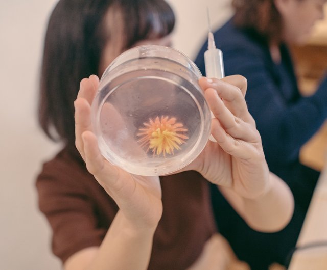 體驗 課後手作靜悅花可食用的立體果凍花全素可食蒟蒻果凍五人成班 設計館小手藝術工作室 美食 料理 Pinkoi